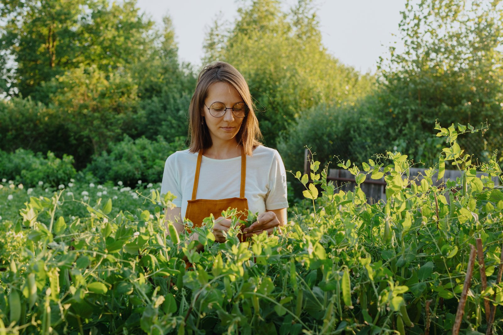 production of fruits and vegetables on an industrial scale, good nutrition